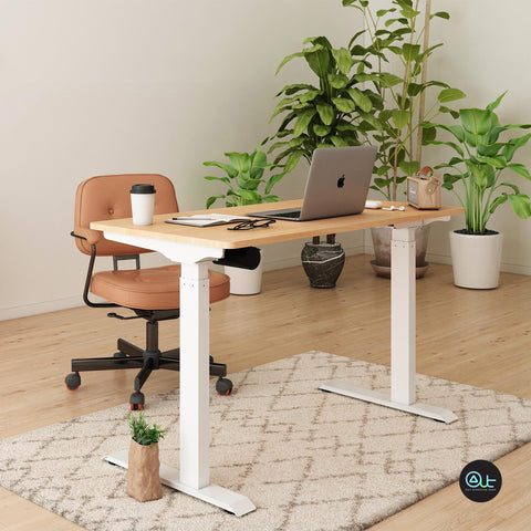 SMART Standing Desk / All-in-one Pre-assembled Design / Entry Level